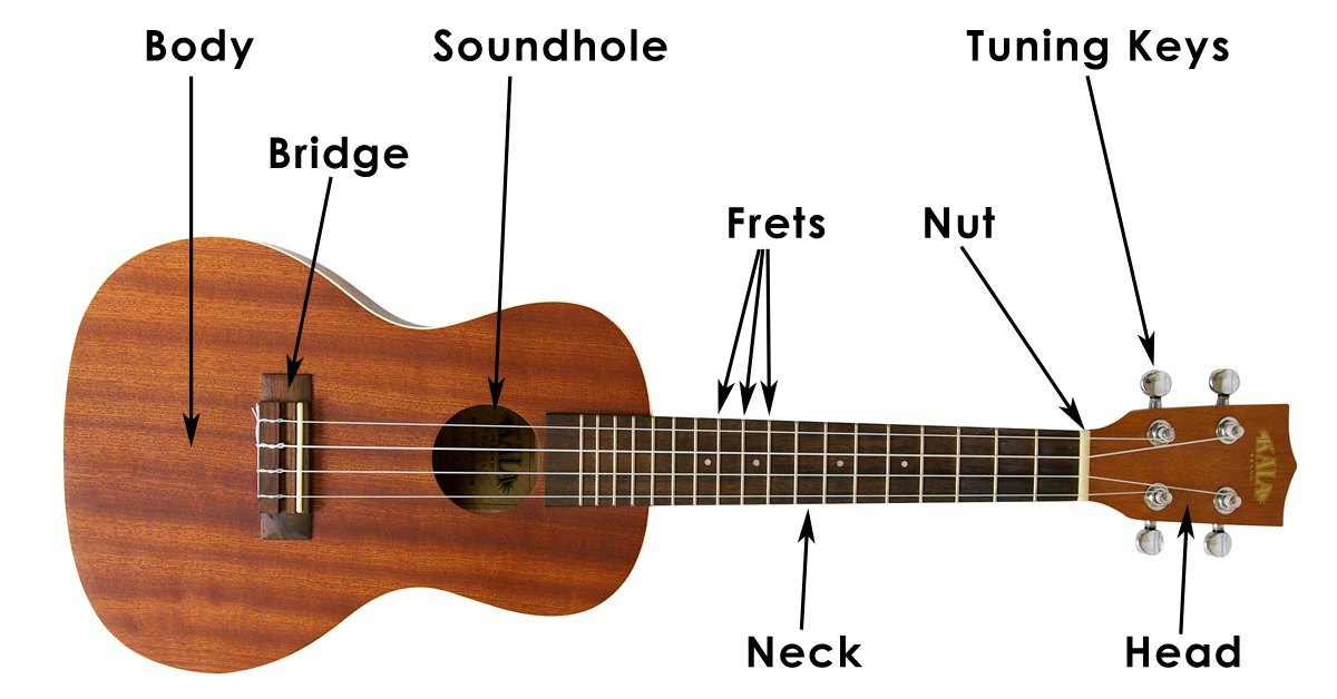 Learn How to Hold a Ukulele Ukulele Tutorial for Beginners